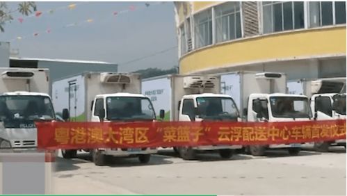 聚焦云浮七大產業集群⑦ 打造大灣區北岸綜合物流配送基地 實現高效貨物配送