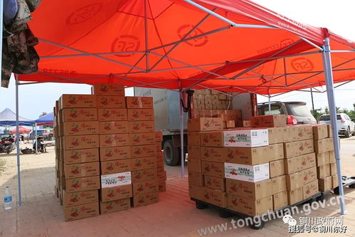 銅川甜美生活，‘櫻’你而來 高效貨物配送打造便捷品質生活