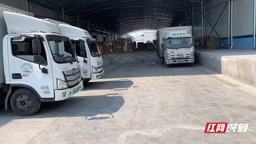 衡陽入選國家第三批綠色貨運配送示范工程創(chuàng)建城市，助力物流業(yè)綠色發(fā)展